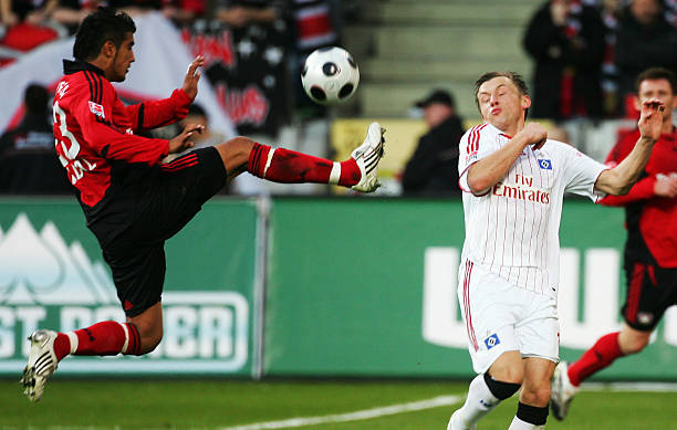 有庞大的粉 有庞大的粉